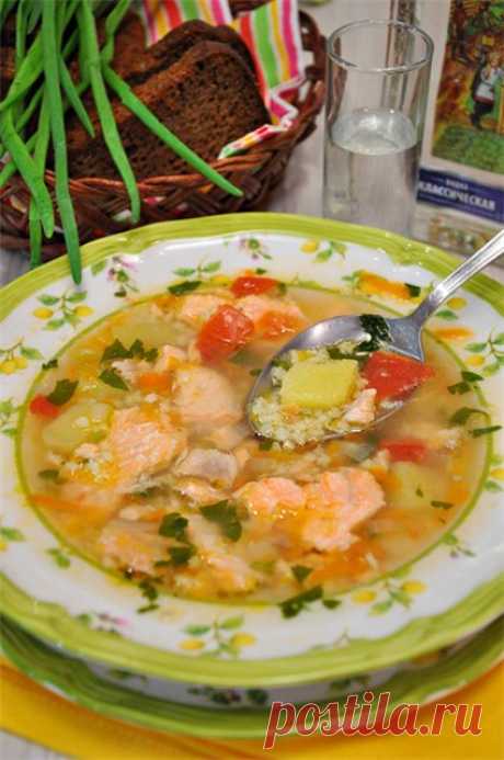 Рыбный суп с овощами и пшеном. - Вкусная пауза
