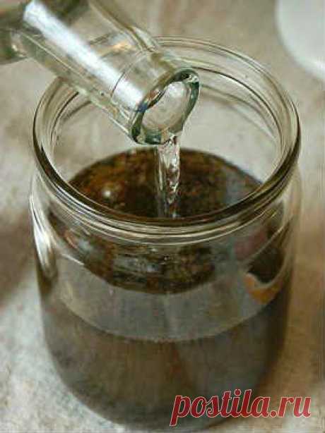 Лечение тмином