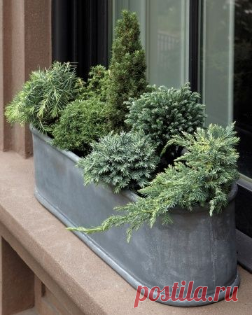 Найдено на сайте marthastewart.com.