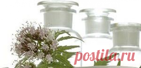 ЦЕЛЕБНЫЕ СВОЙСТВА ВАЛЕРИАНОВОГО ЭФИРНОГО МАСЛА
 ВОЗДЕЙСТВИЕ НА ЭМОЦИОНАЛЬНУЮ СФЕРУ Валериановое аромамасло — это основной релаксирующий инструмент как в ароматерапии, так и в традиционной медицине. Удивительный аромат валерианового масла не просто оказывает успокаивающее воздействие, но и устраняет нервное истощение, неврозы, тревоги и страхи, помогает избавиться от ощущений загнанности, зависимости, суетности. &gt;&gt;&gt;