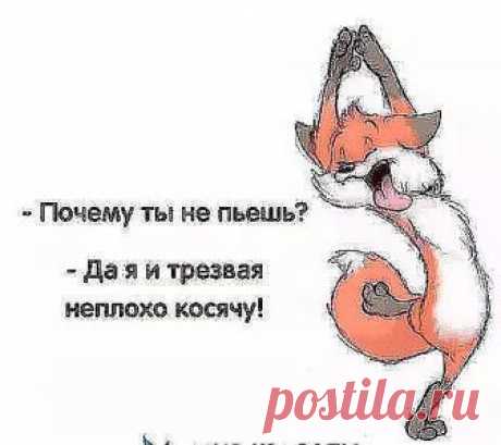 Мужчине достаточно знать, что в него верят.  Женщине достаточно знать... Табличка на заборе: "Осторожно, во дворе злая собака! Прививки не делали, ест что попало. Давно мечтает реализовать себя в сексе". Не сиськи красят девушку. А нет, сиськи, всё правильно. Колумбийские наркокартели всерьез озабочены проблемой пивногоалкоголизма среди молодежи...