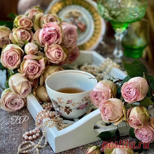 Photo shared by Вера Руббах on March 04, 2021 tagging @larimari_homeware. May be an image of rose, prairie gentian and indoor. #rose, #prairie, #indoor, #homeware
Просматривайте этот и другие пины на доске Decoupage пользователя Svetlana.
Теги
Photo shared by Вера Руббах on May 5, 2020 tagging 