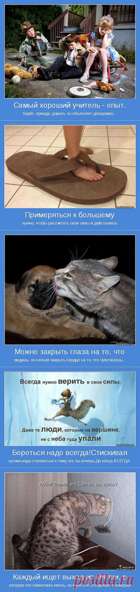 Фразы которые мотивируют. И опыт, сын ошибок трудных... » Поржать.ру