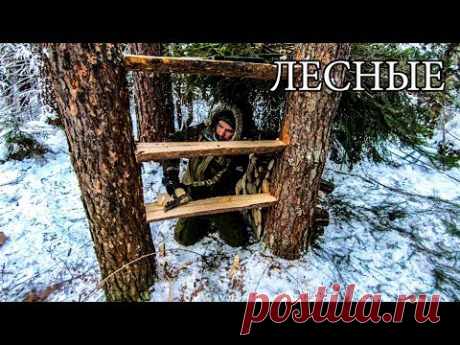 7 ПРОСТЫХ СОВЕТОВ ДЛЯ ЛЕСА | 7 BUSHCRAFT TIPS