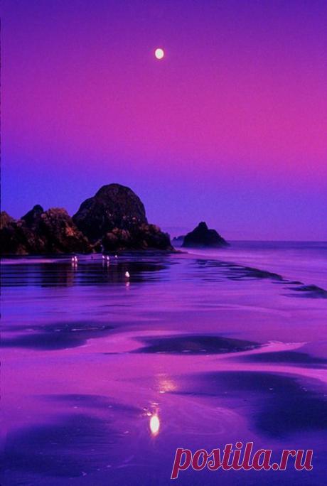 Found on vvisteria.tumblr.com