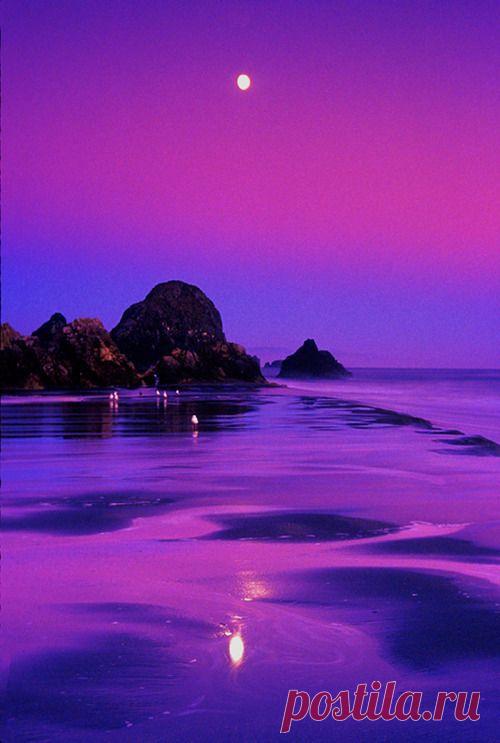 Found on vvisteria.tumblr.com