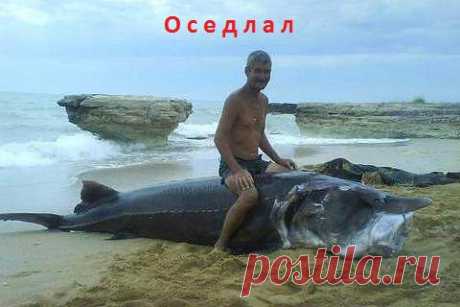 бывает и такое...
