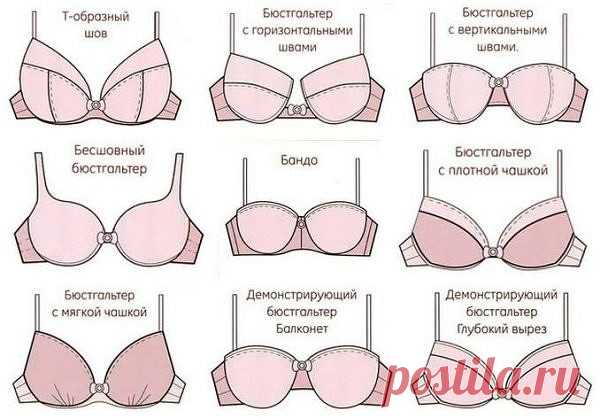 Как определить и подобрать размер бюстгальтера: таблица размеров