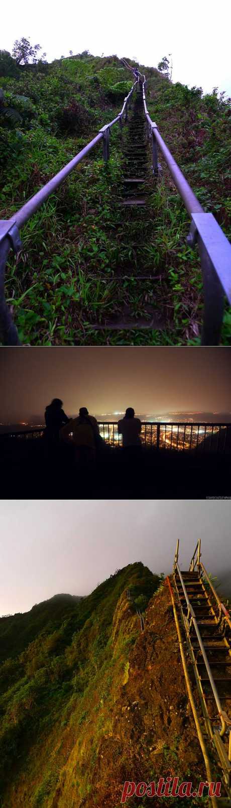 Лестница в небеса действительно существует | Я так вижу