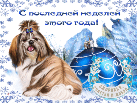 Бежит последняя неделя года уходящего,
Много,это или нет....
Быть может он исполнит нам желания,
Наши мечты успеет воплотить,

А,если вдруг такого не случится.....
Грустить не надо...Новый год придёт,
Он всё исполнит,наградит вас щедро,
И новые на &quot;ум себе возьмёт,

Пока же  к праздникам готовьтесь,
Наряды шейте,салат готовьте Оливье&quot;,
На ёлку гирлянды красивые повесьте,
В душе пусть будет только позитив!