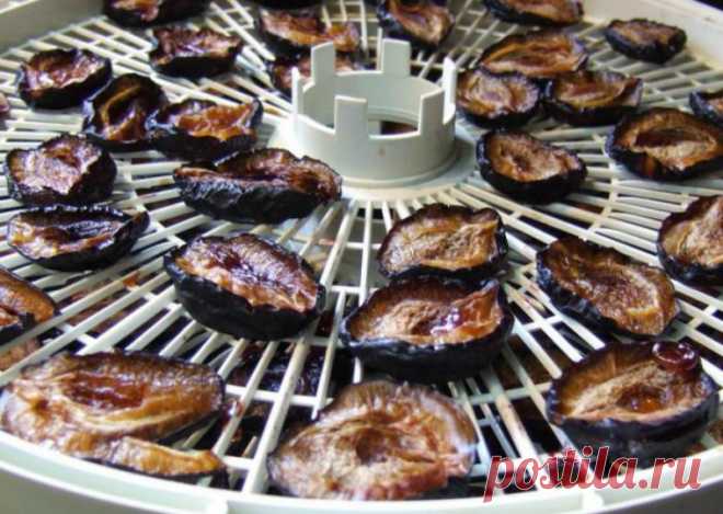 Не любите варенье из слив? И не надо! Есть гораздо более вкусный способ их приготовления. - Страна Полезных Советов - медиаплатформа МирТесен
