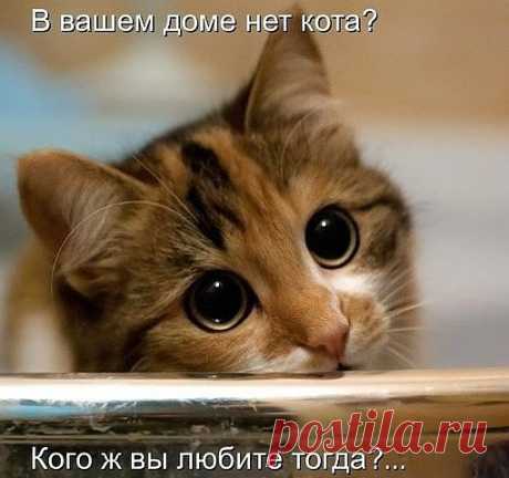 Комментарии к теме