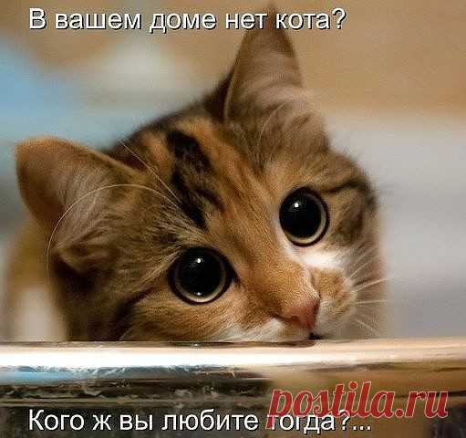 Комментарии к теме