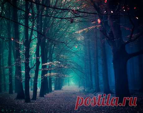 Twilight