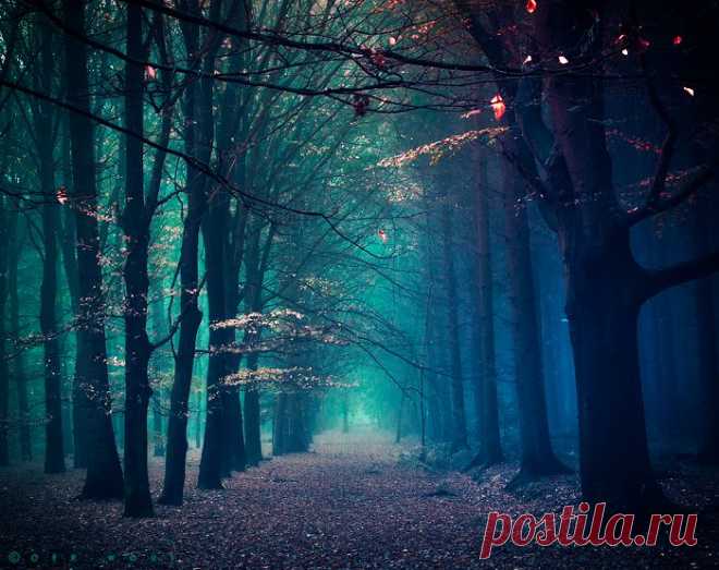 Twilight