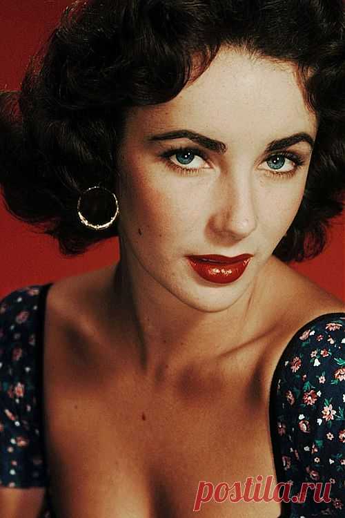 Happy Birthday Elizabeth Taylor