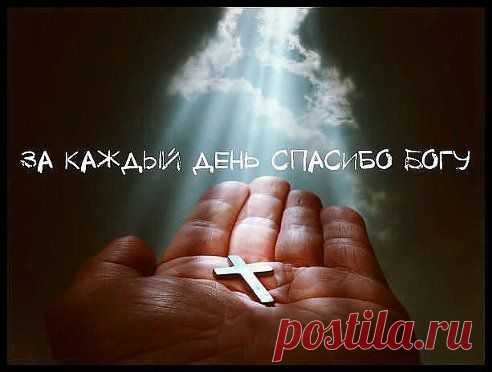 (56) Одноклассники