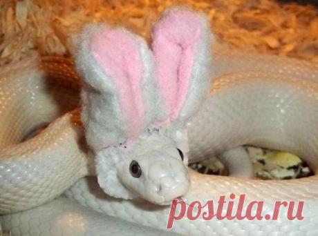 улыбнитесь!!!