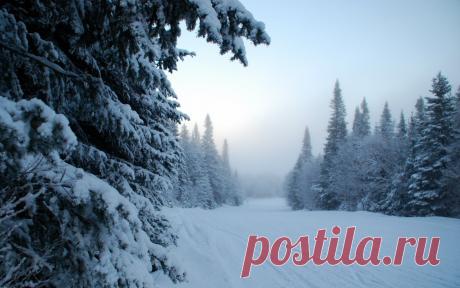 КАКОЙ СЕГОДНЯ ПРАЗДНИК? 14 Февраля 2018 г. – Вторник • День компьютерщика и программиста71 год • День Святого Валентина (День всех влюбленных) • День маленьких перевоплощений • Международный день дарения книг • День памяти святого мученика Трифона • День рождения французского языка • Национальный день спорта - Катар • День психически больных людей - Германия • День войск радиационной, химической и биологической защиты - Украина • Именины у Петра, Трифона • Дистинг