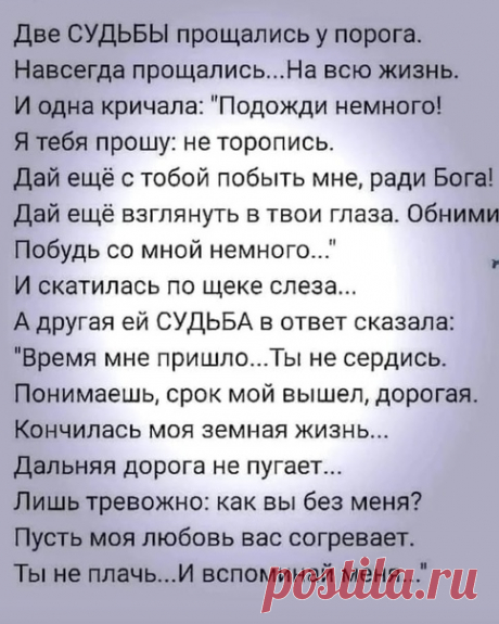 Яндекс Картинки: поиск похожих изображений