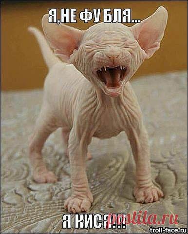 KS Zlobina
27 лет, Россия, Кострома