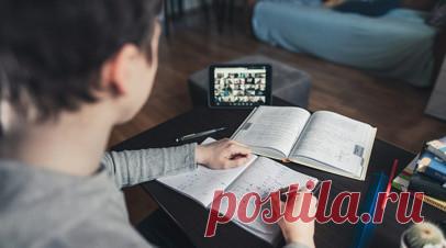 В Тюменской области школы 11 муниципалитетов перевели на дистант из-за ОРВИ. Школы 11 муниципалитетов Тюменской области с 1 декабря перейдут на дистанционный формат обучения из-за роста заболеваемости ОРВИ. Читать далее