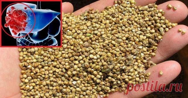 Это средство ОЧИЩАЕТ ПОЧКИ и нормализует высокое давление