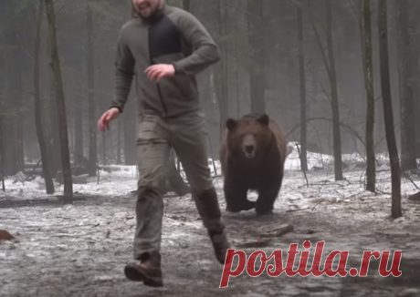 Огромный зверь загонял рыбака к реке, как добычу (рассказ) | Тайган | Дзен