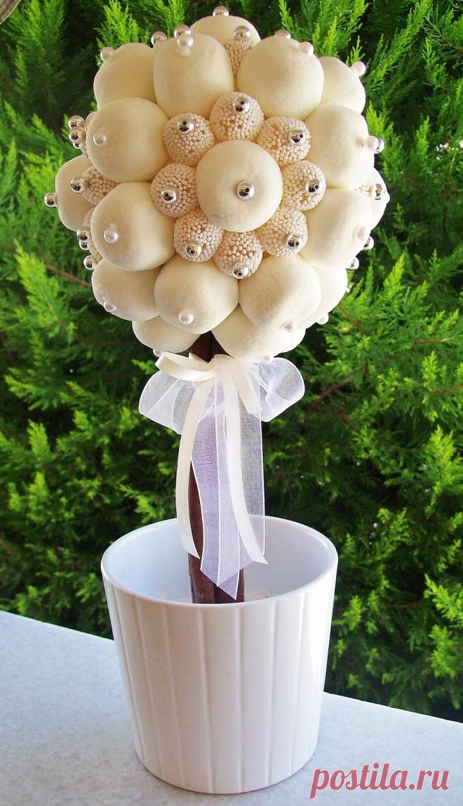 100_2232.JPG (919×1600)