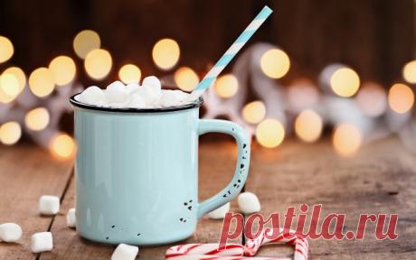 Як приготувати какао: майстер-клас від Марини Шевченко | Все буде добре