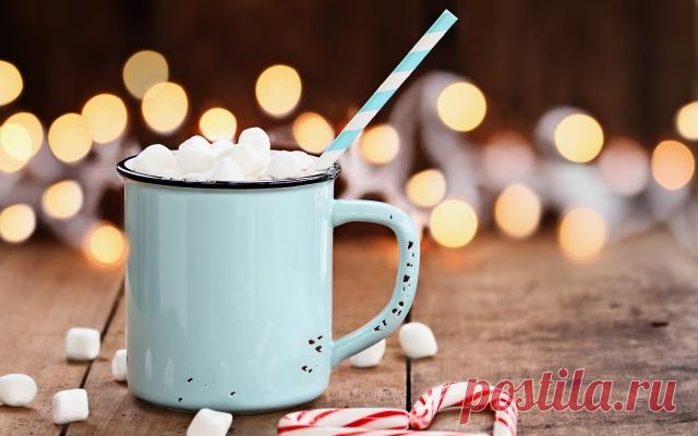 Як приготувати какао: майстер-клас від Марини Шевченко | Все буде добре