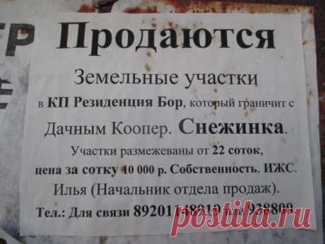 Ярославская область