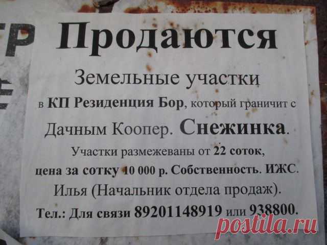 Ярославская область