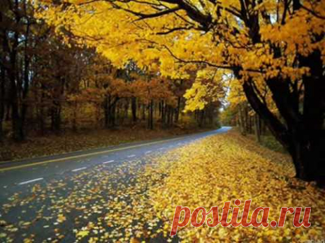 Ekaterina Savinova sings "Serenade" of Schubert