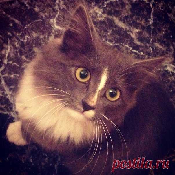 хххх