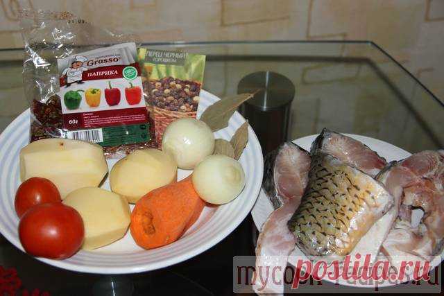 Уха из карпа