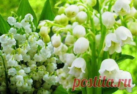Слоеный сытный, мягкий пирог с ветчиной и нежнейшим сыром