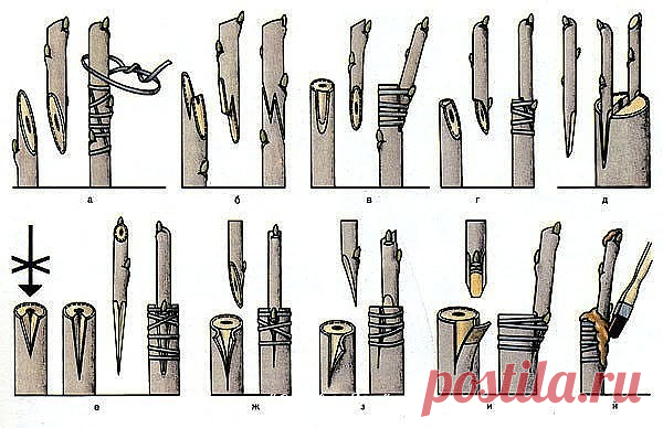 Одноклассники