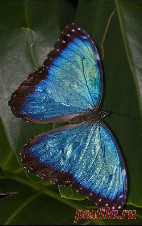 (3) Pinterest • The world’s catalog of ideas