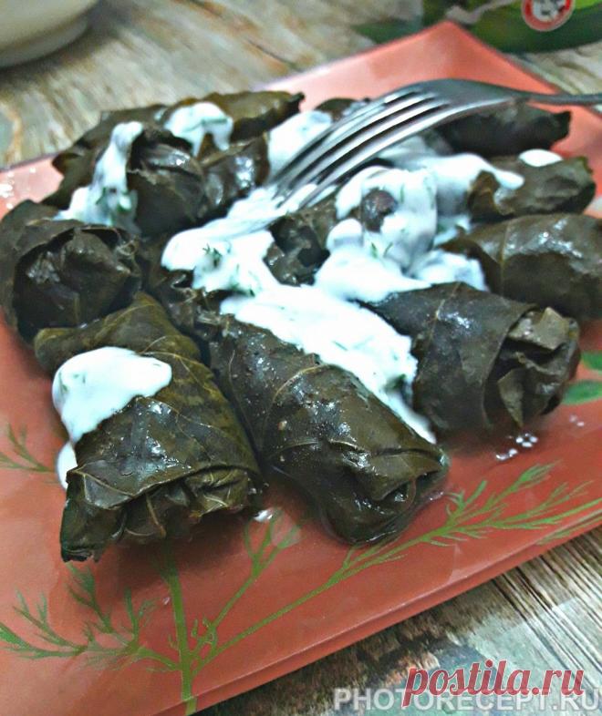 Блюда из говяжьего фарша - оригинальные блюда различных кухонь мира