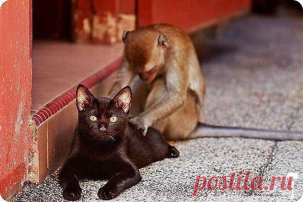 ВИТАЛИЙ: Лучше один раз поговорить , чем пол года переписываться ни о чем...