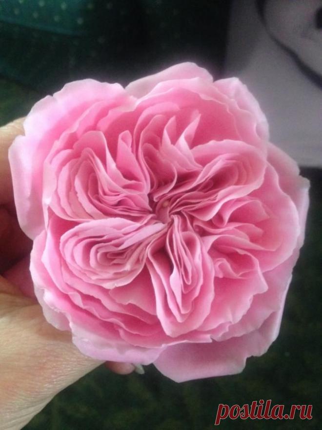 Найдено на сайте cakesdecor.com.