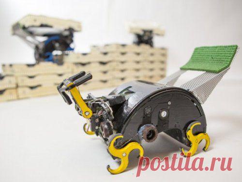 *Роботы-термиты смогут построить колонии на Луне и Марсе без помощи людей.*  Что-то с трудом верится, но пусть попробуют, заем наступать мечте на горло.