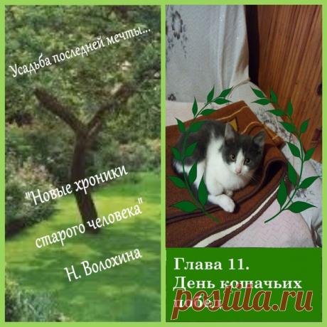 Глава одиннадцатая. День кошачьих побед
Девять утра - подвиг по расписанию, практически как у Мюнхгаузена. Обошла выстроенный мной заслон из кирпичей, проникла несанкционированно в дом и застряла в стекловате в кладовой. Выбралась сама.
В полдень, несмотря на страшные пуги и руги, отправилась с нами в магазин. Пришлось посадить в рюкзак. Сбежала. Была поймана. Пыталась прогрызть и порвать когтишками суму. По возвращении с победным кличем обежала территорию Усадьбы.
Лазила ...