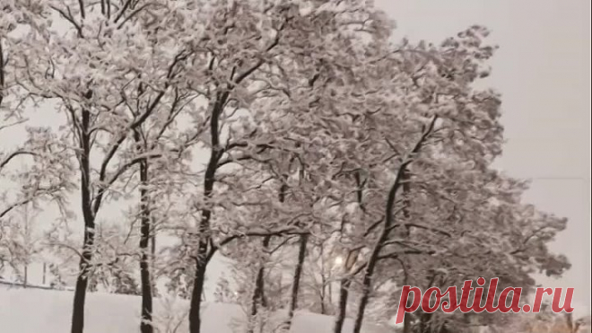 video-62079a04fc15a781c4ab980d4ae84378-V.mp4