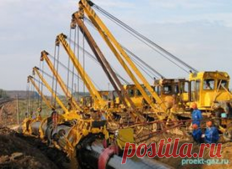 "Гринпис" тормозит прокладку "Северного потока-2" через Кургальский заказник - 5 Августа 2017 - Проектирование газоснабжения