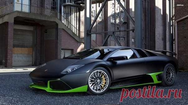 Lamborghini Murcielago / Только машины