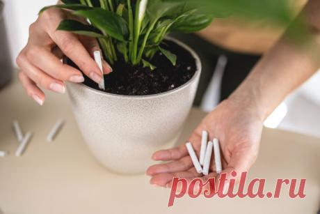 Удобрения в виде палочек: использование и преимущества | undefined (undefined)