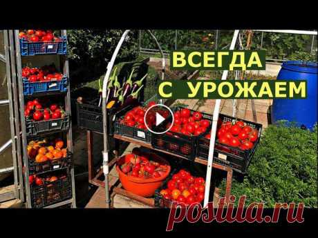 Как сделать ОГОРОД на ЛЮБУЮ погоду?

рисунки для детских кофточек спицами