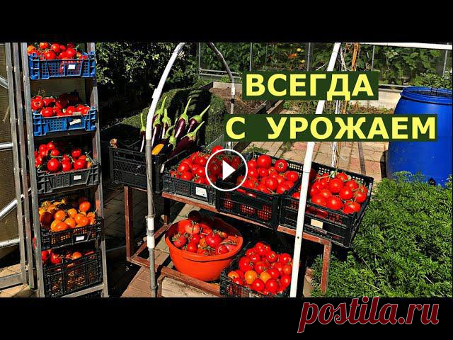 Как сделать ОГОРОД на ЛЮБУЮ погоду?

рисунки для детских кофточек спицами